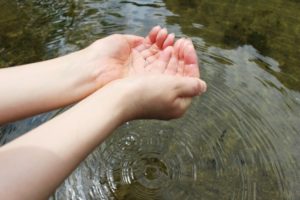 お浄土の水