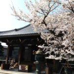 三重県桑名市の桑名別院へ行ってきました